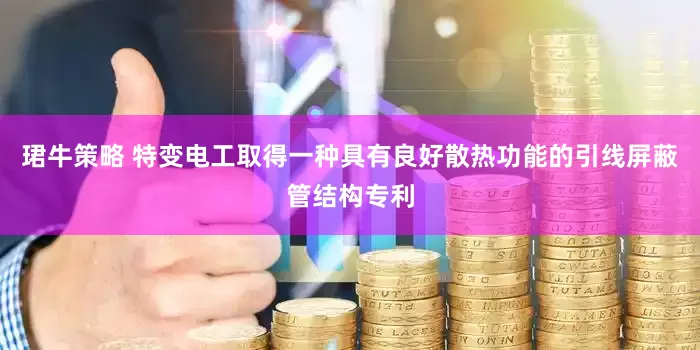 珺牛策略 特变电工取得一种具有良好散热功能的引线屏蔽管结构专利