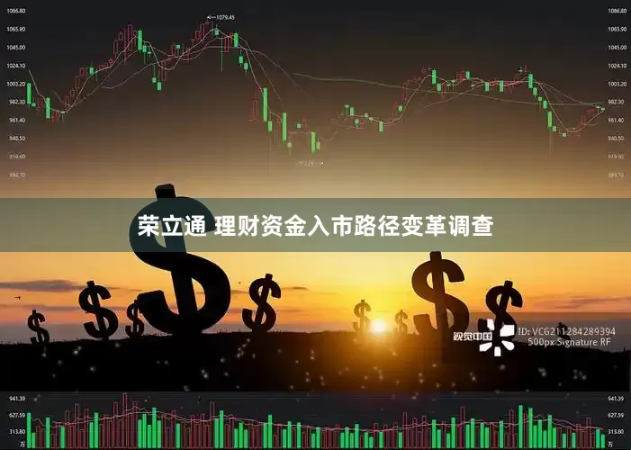 荣立通 理财资金入市路径变革调查