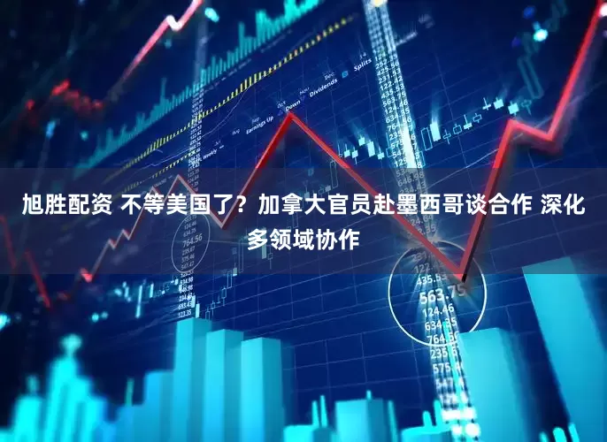 旭胜配资 不等美国了？加拿大官员赴墨西哥谈合作 深化多领域协作