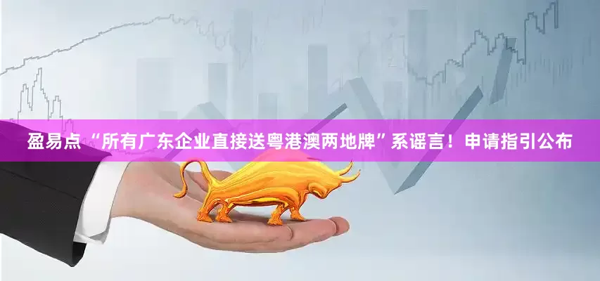 盈易点 “所有广东企业直接送粤港澳两地牌”系谣言！申请指引公布