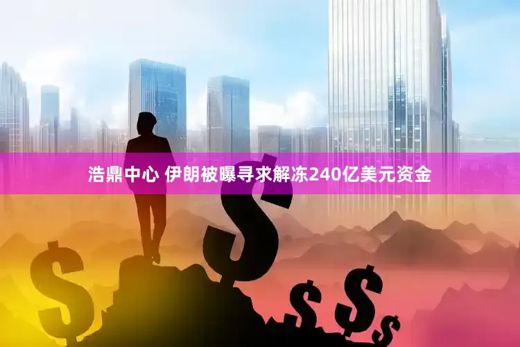 浩鼎中心 伊朗被曝寻求解冻240亿美元资金